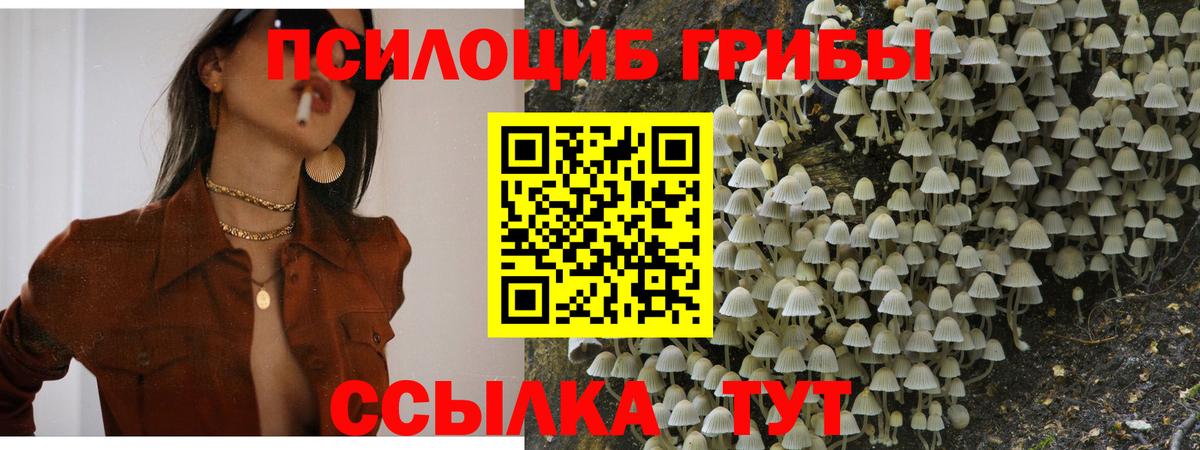 Псилоцибиновые грибы ЛСД Норильск